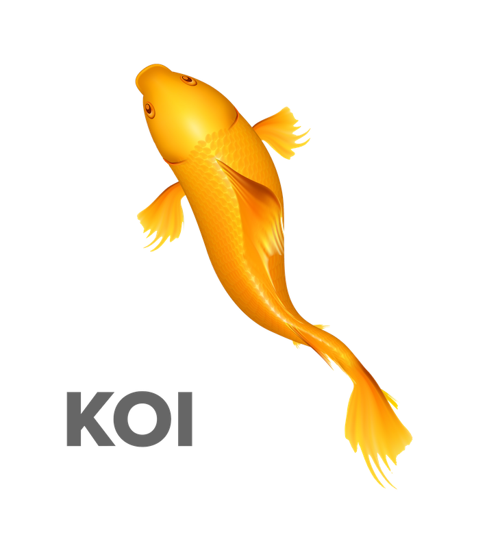 KOI